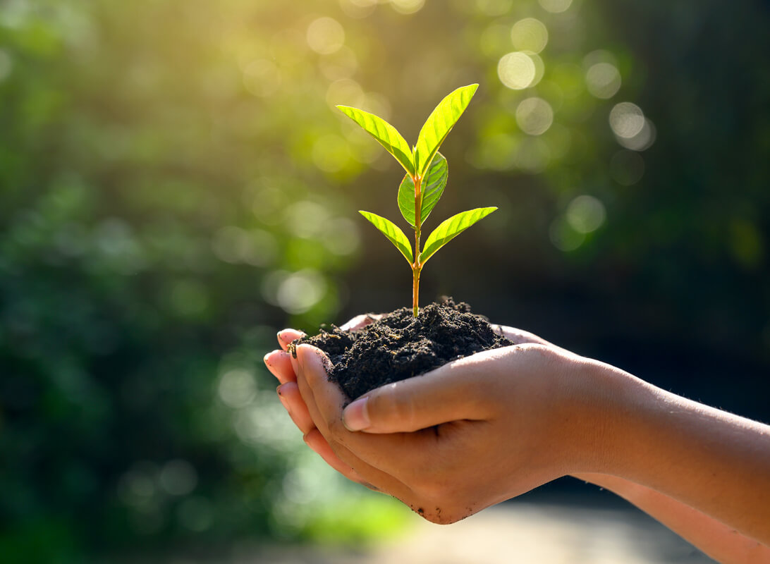 Every sale supports a sustainable future